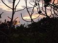 11_DP-2011-022 Bild0221p